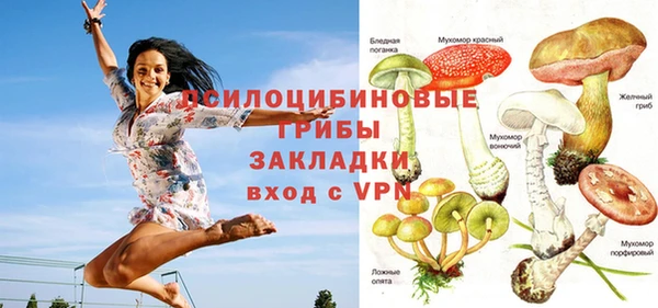 винт Аркадак
