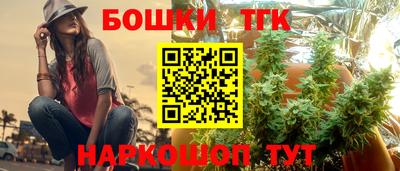 сатива Гагарин