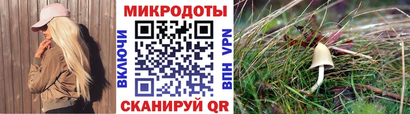 Псилоцибиновые грибы Magic Shrooms  где купить наркоту  Новозыбков 
