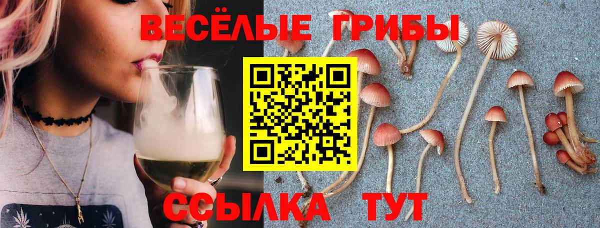 Галлюциногенные грибы MAGIC MUSHROOMS Новозыбков