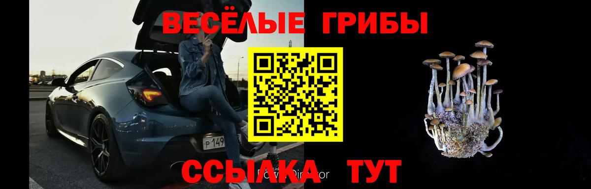 Новозыбков  Галлюциногенные грибы ЛСД  Вход с VPN 