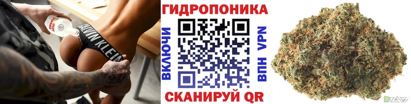 Шишки марихуана Amnesia  где продают наркотики  Новозыбков 